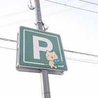 ブログ画像